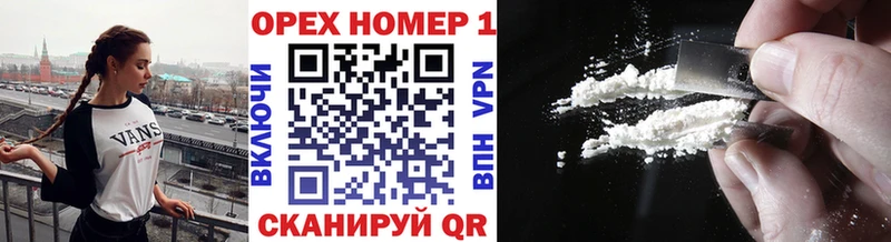 COCAIN FishScale  Купить закладки  Заринск 