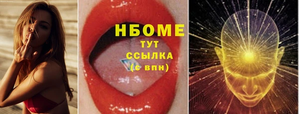 крисы Корсаков