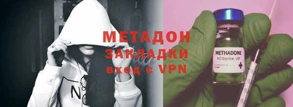 крисы Корсаков