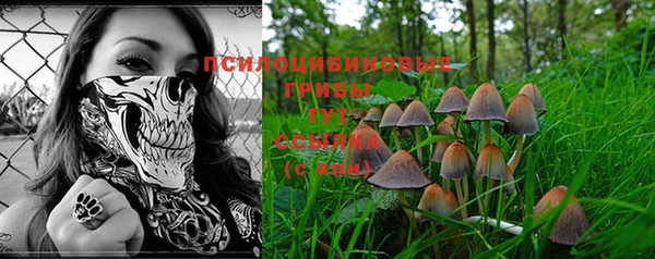 мдма Козельск