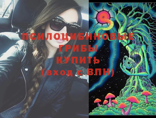 герыч Козловка