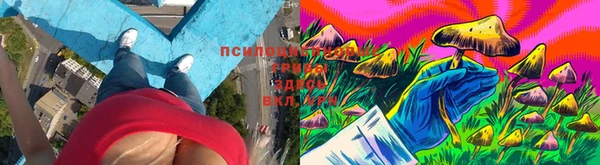мдма Козельск