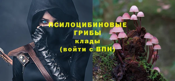 мдма Козельск