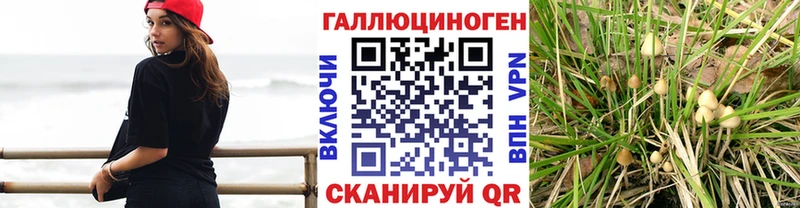 Галлюциногенные грибы Magic Shrooms  Купить  Заринск 